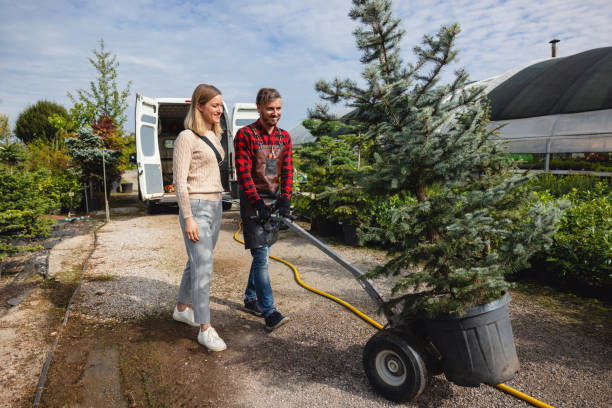 Lewisport, KY Tree Services Company